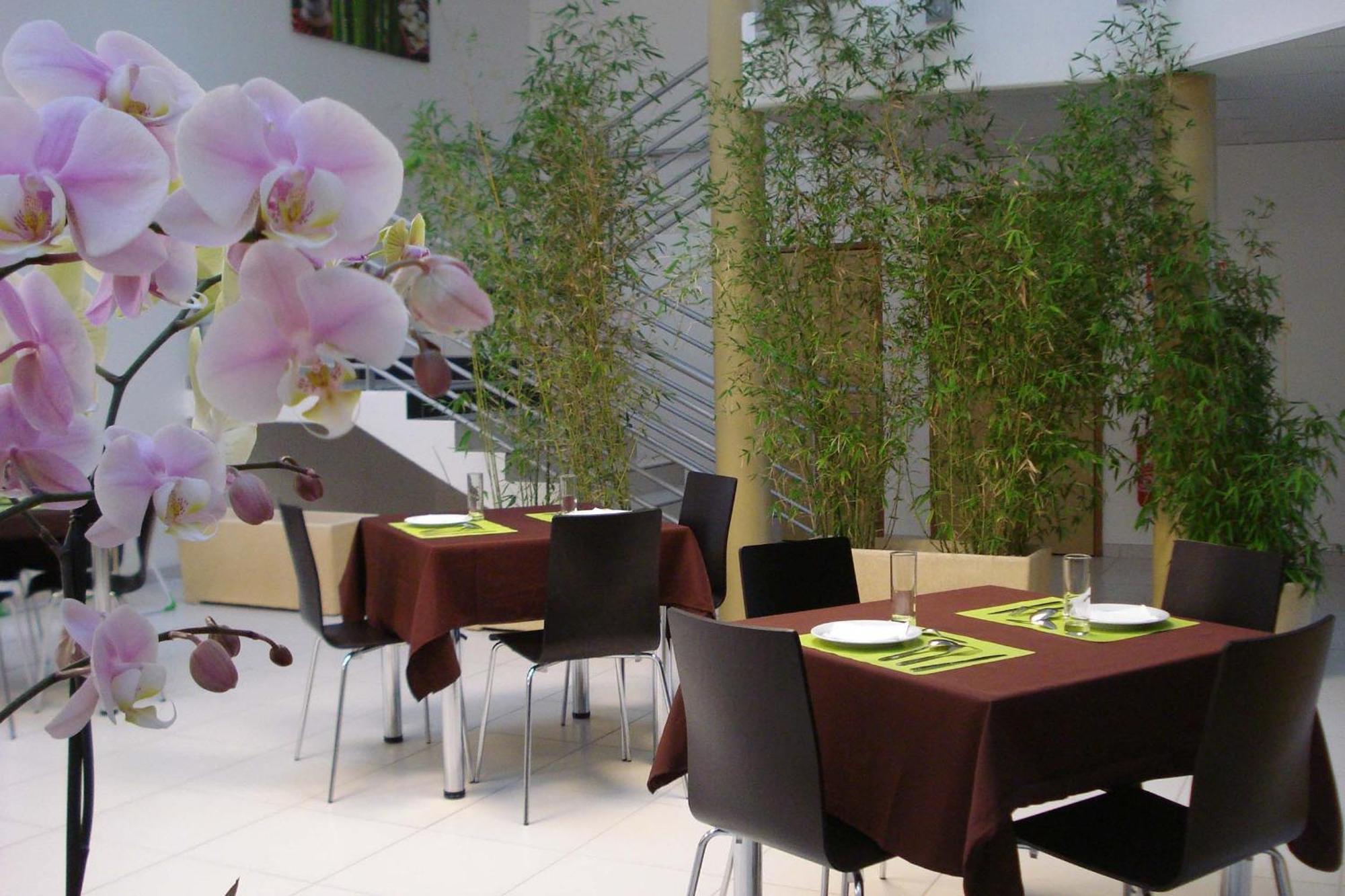 Hotel La Palmeraie Cornebarrieu Dış mekan fotoğraf