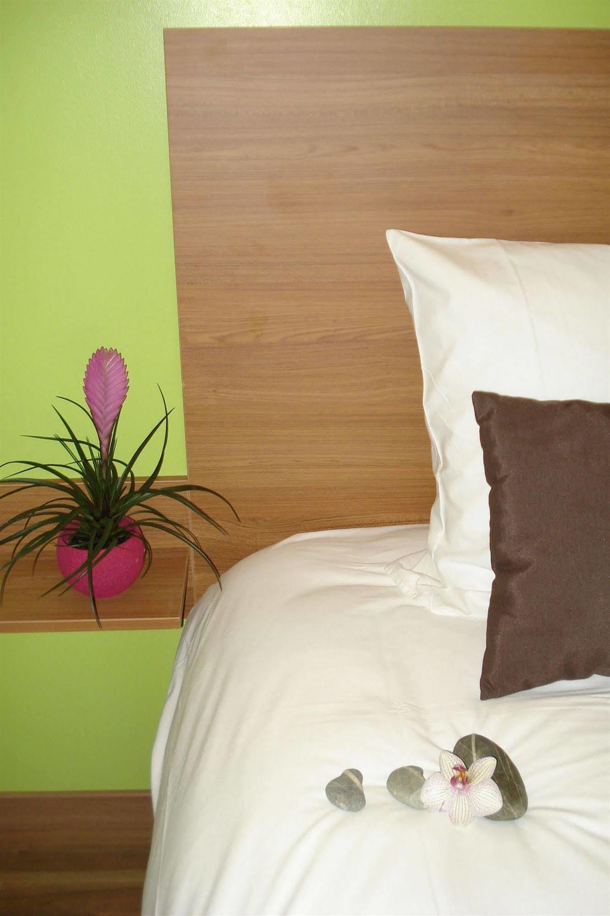 Hotel La Palmeraie Cornebarrieu Dış mekan fotoğraf